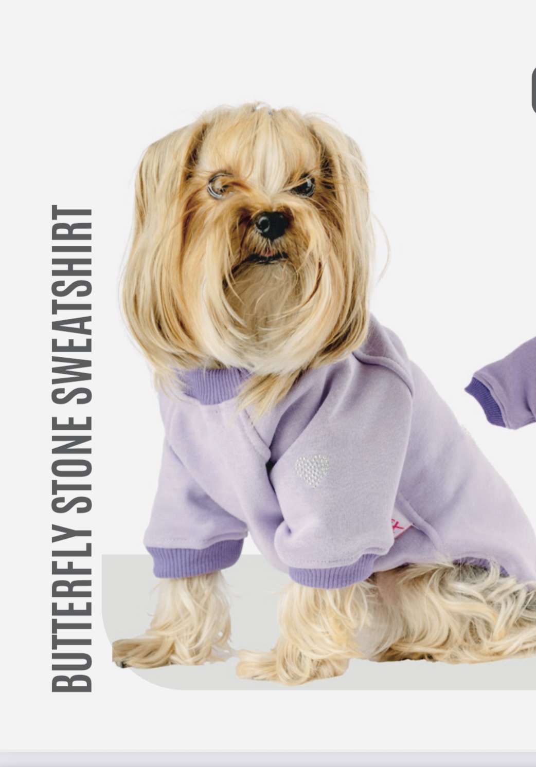 KELEBEK TAŞLI SWEATSHIRT